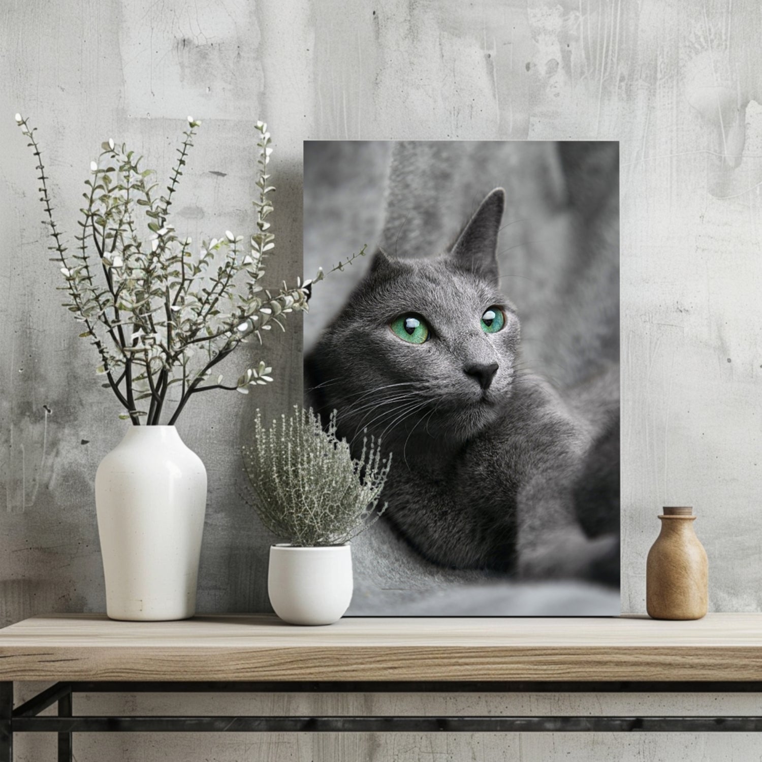 Cat Aluminum Print.