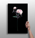 Flower Aluminum Print
