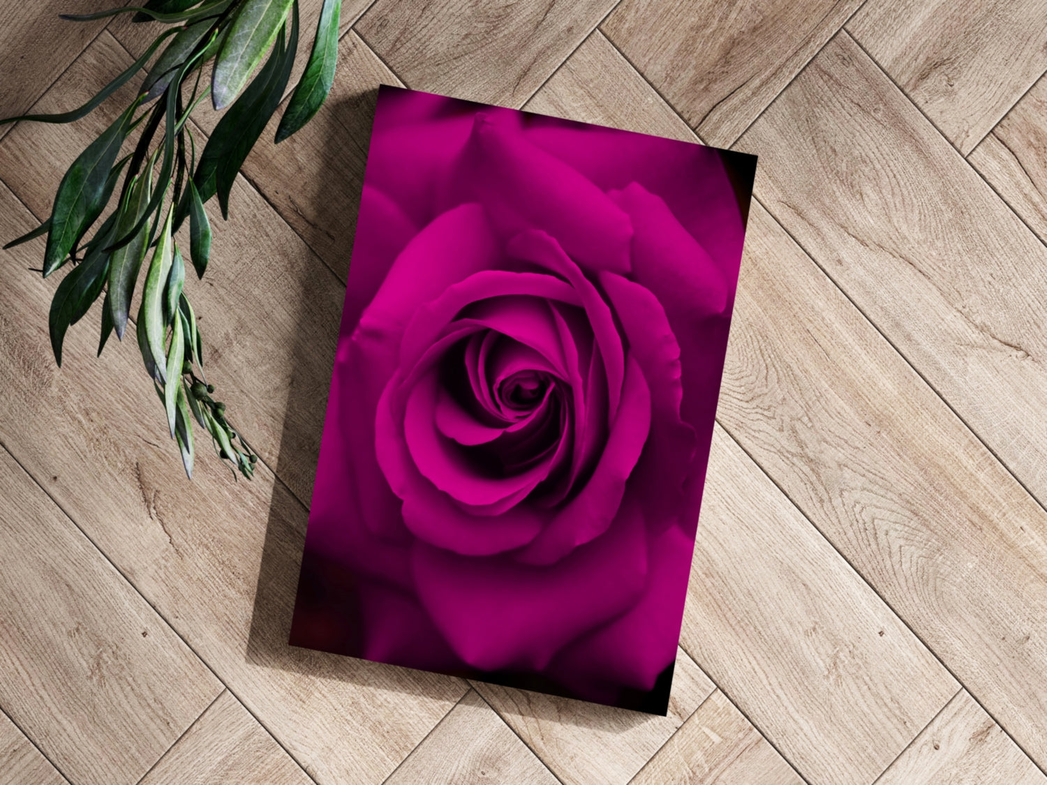 Rose Aluminum Print.