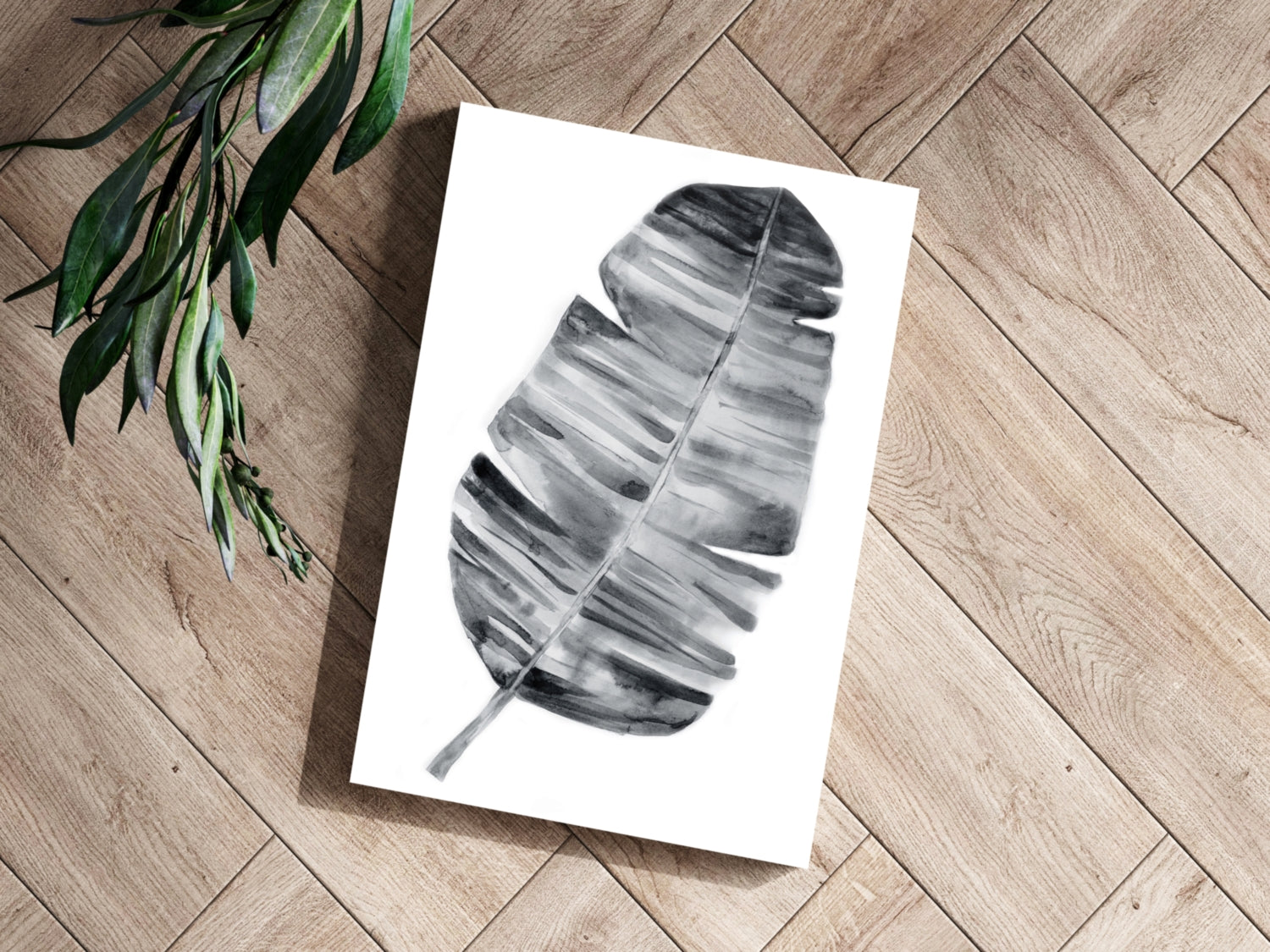 Feather Aluminum Print.