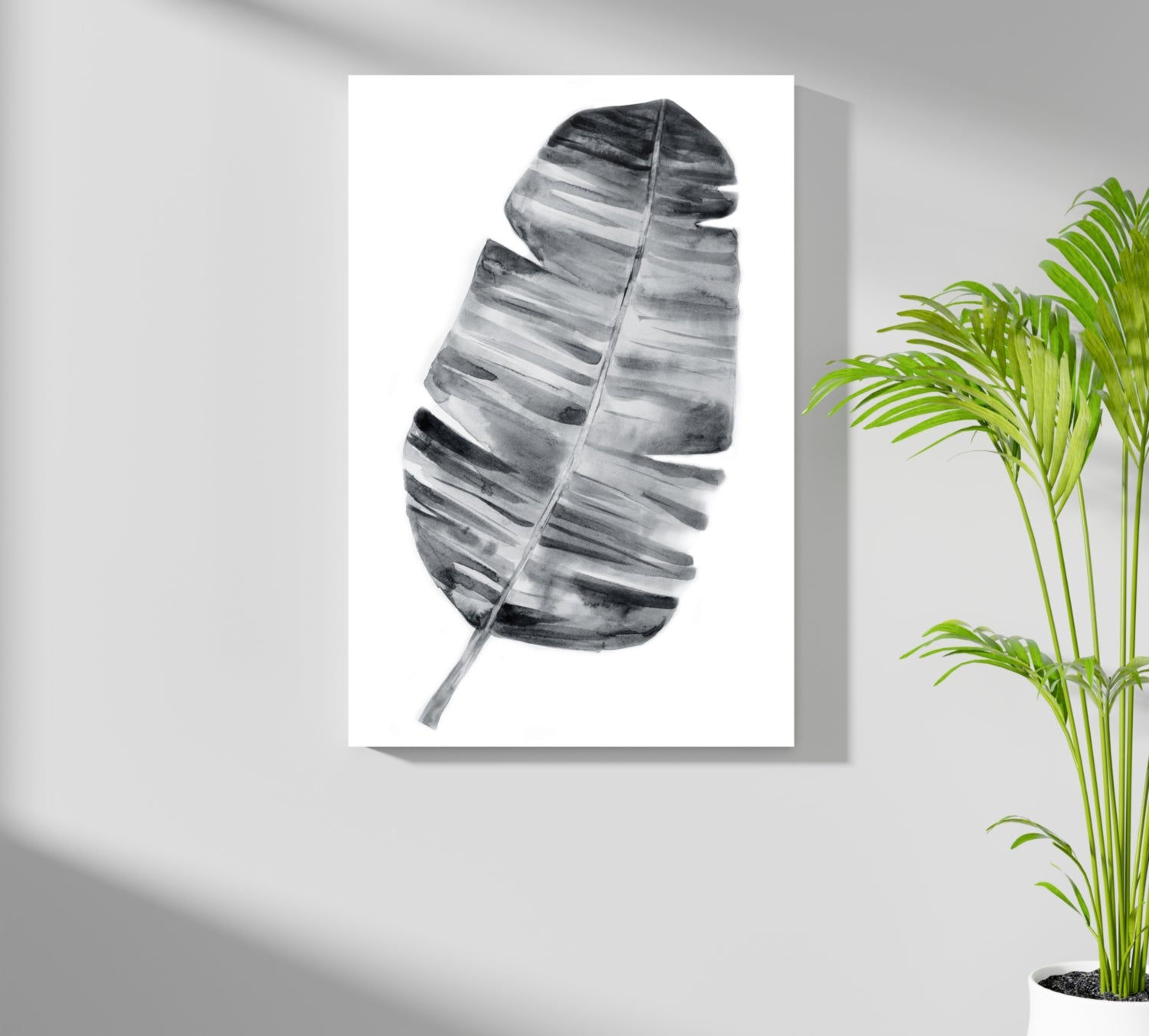 Feather Aluminum Print.