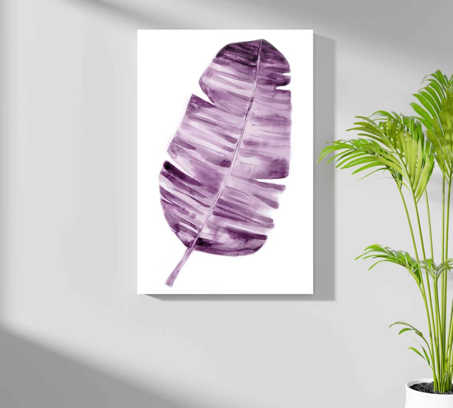 Feather Aluminum Print.