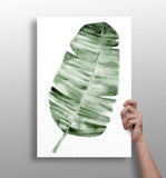 Feather Aluminum Print