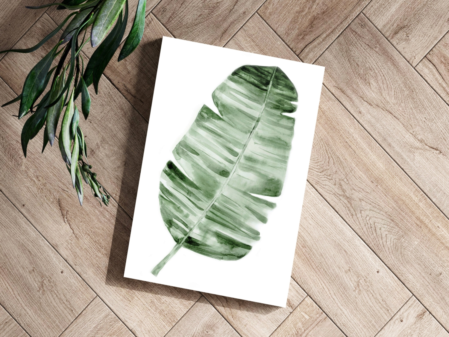 Feather Aluminum Print.