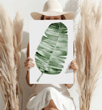 Feather Aluminum Print
