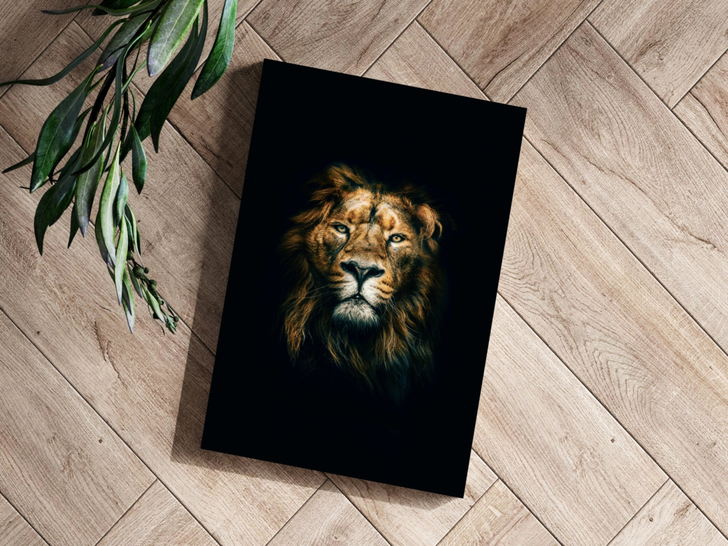 Lion Aluminum Print.