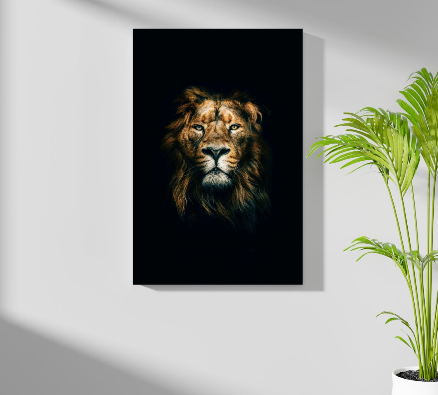 Lion Aluminum Print.