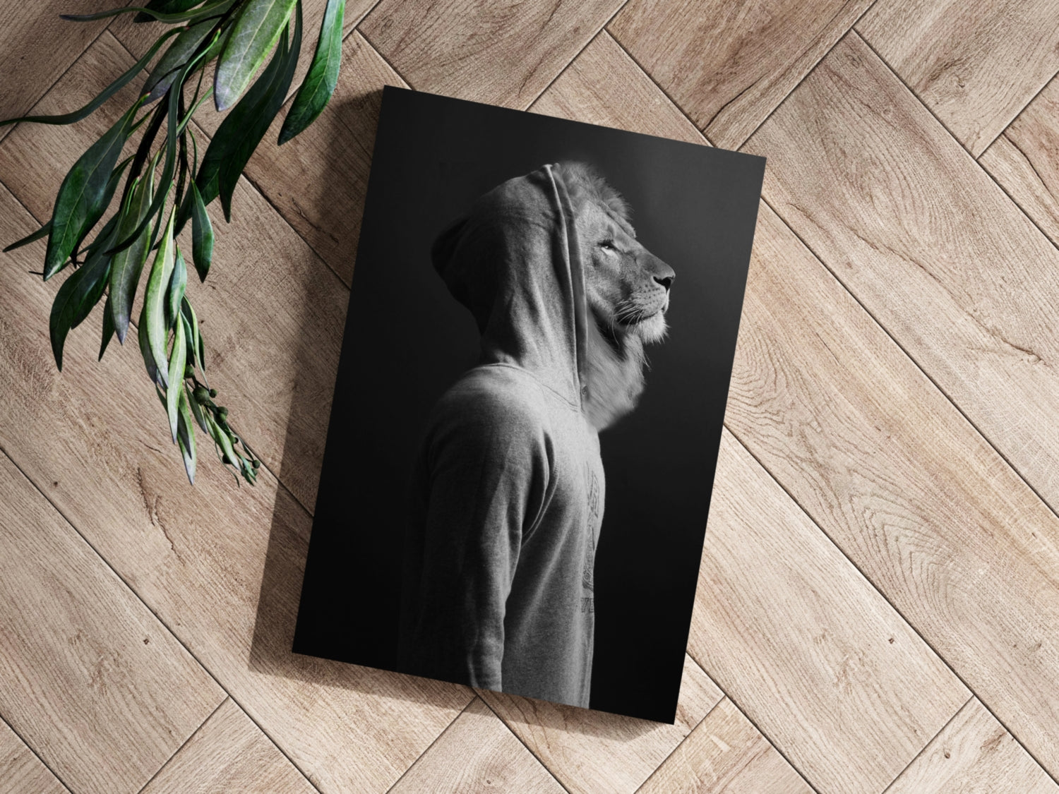 Lion Aluminum Print.