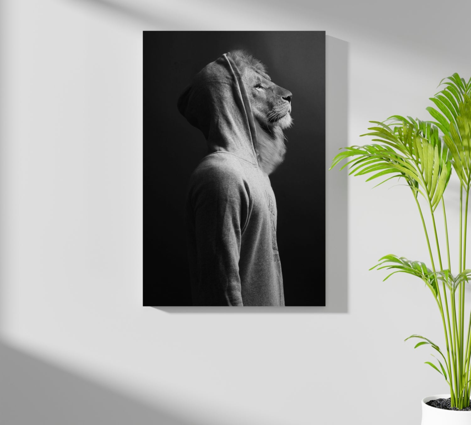 Lion Aluminum Print.