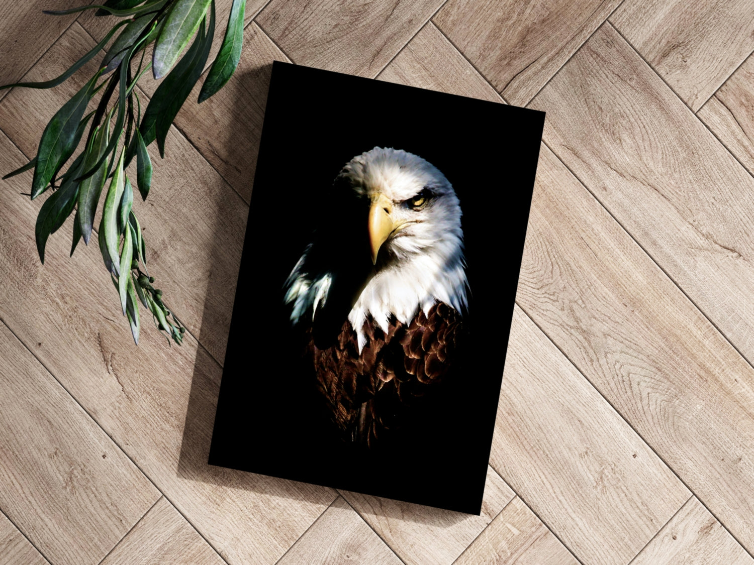 Eagle Aluminum Print.