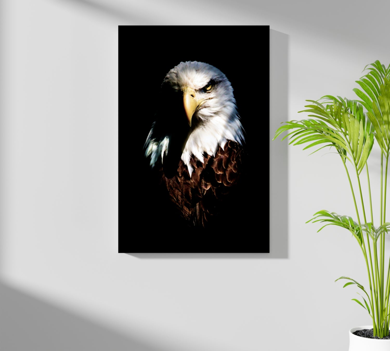 Eagle Aluminum Print.