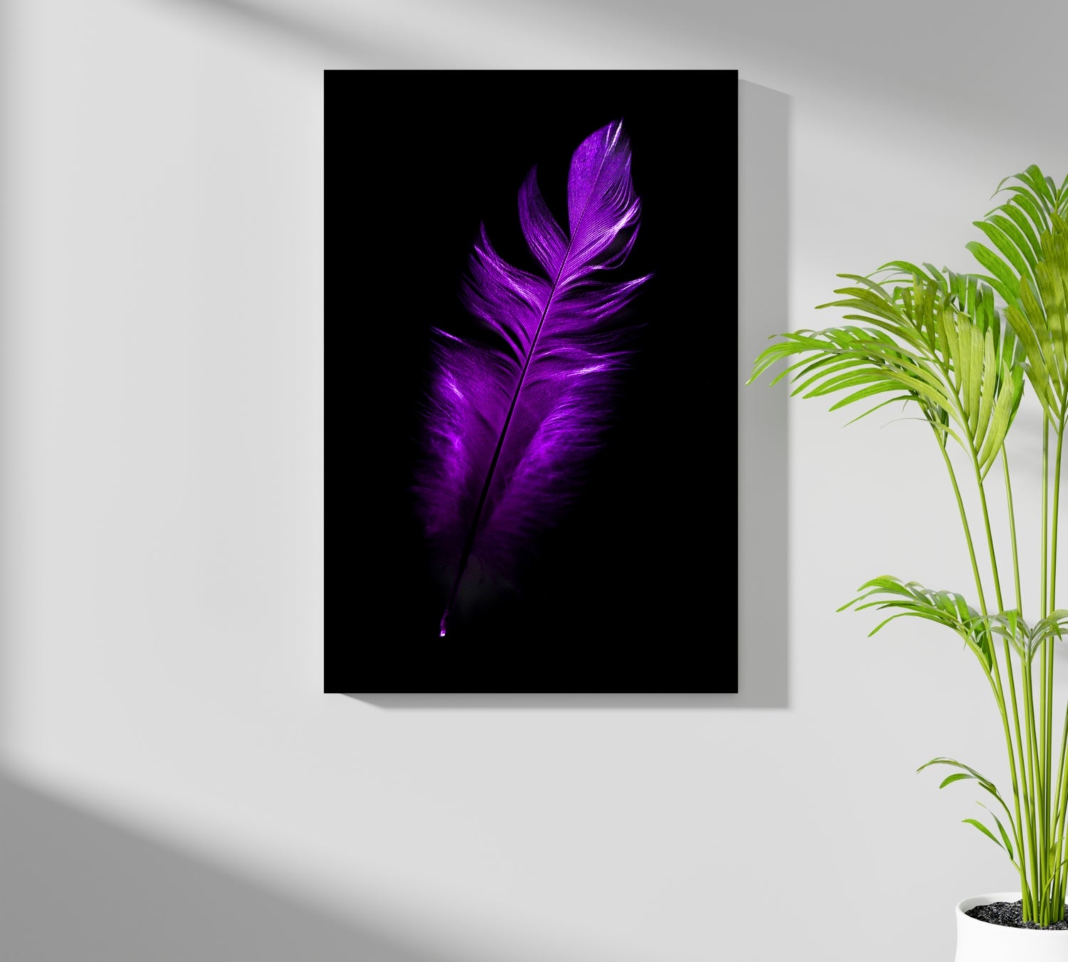 Purple Feather Aluminum Print.