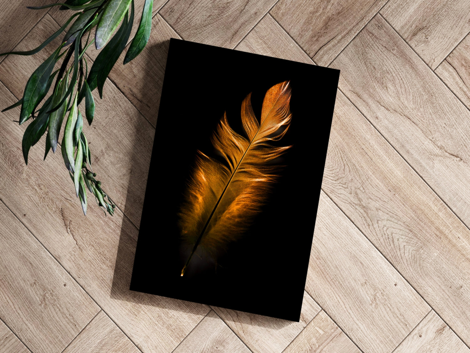 Bronze Feather Aluminum Print.