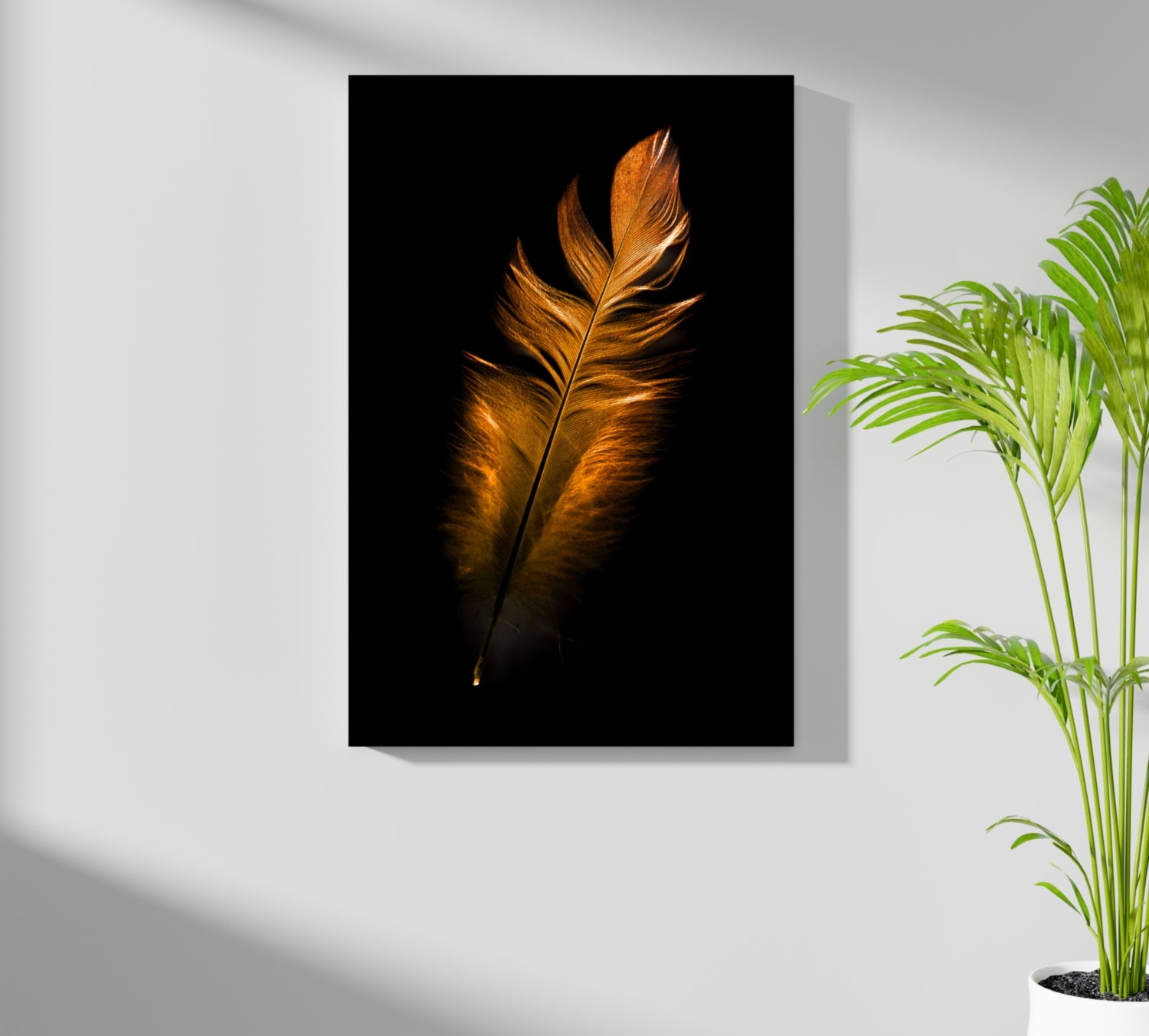 Bronze Feather Aluminum Print.