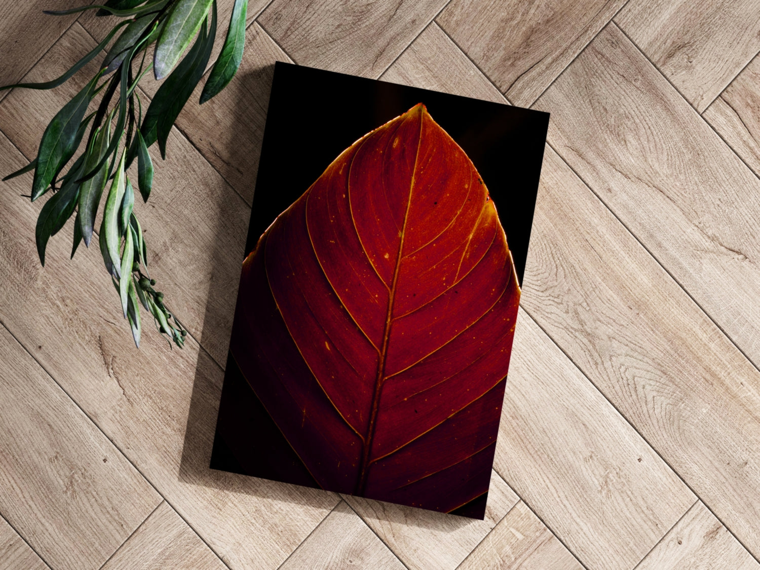Red Leaf Aluminum Print.