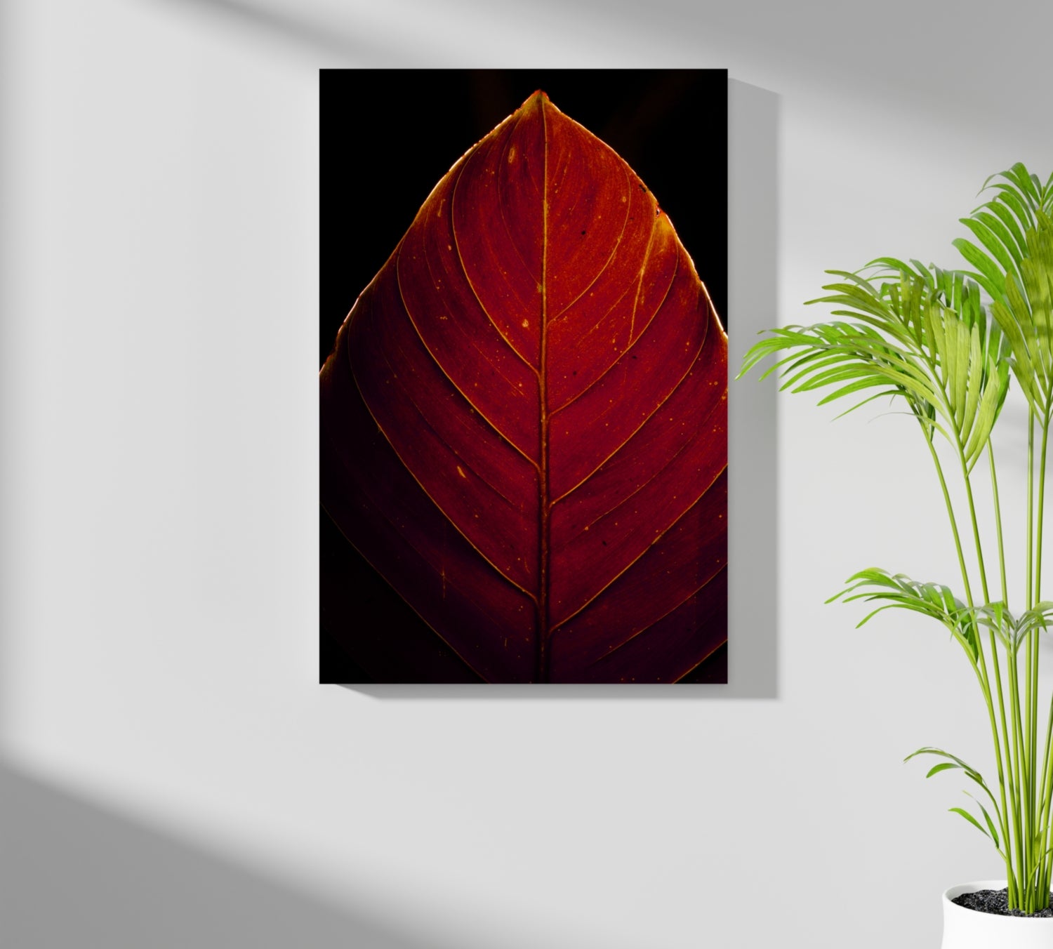 Red Leaf Aluminum Print.