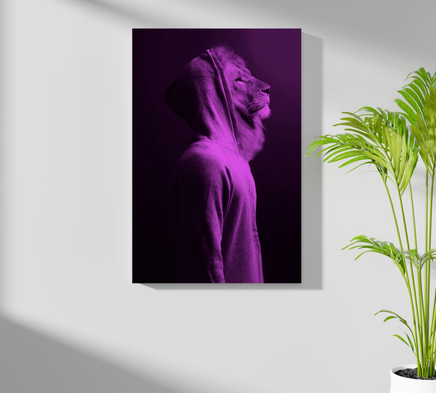 Lion Aluminum Print.