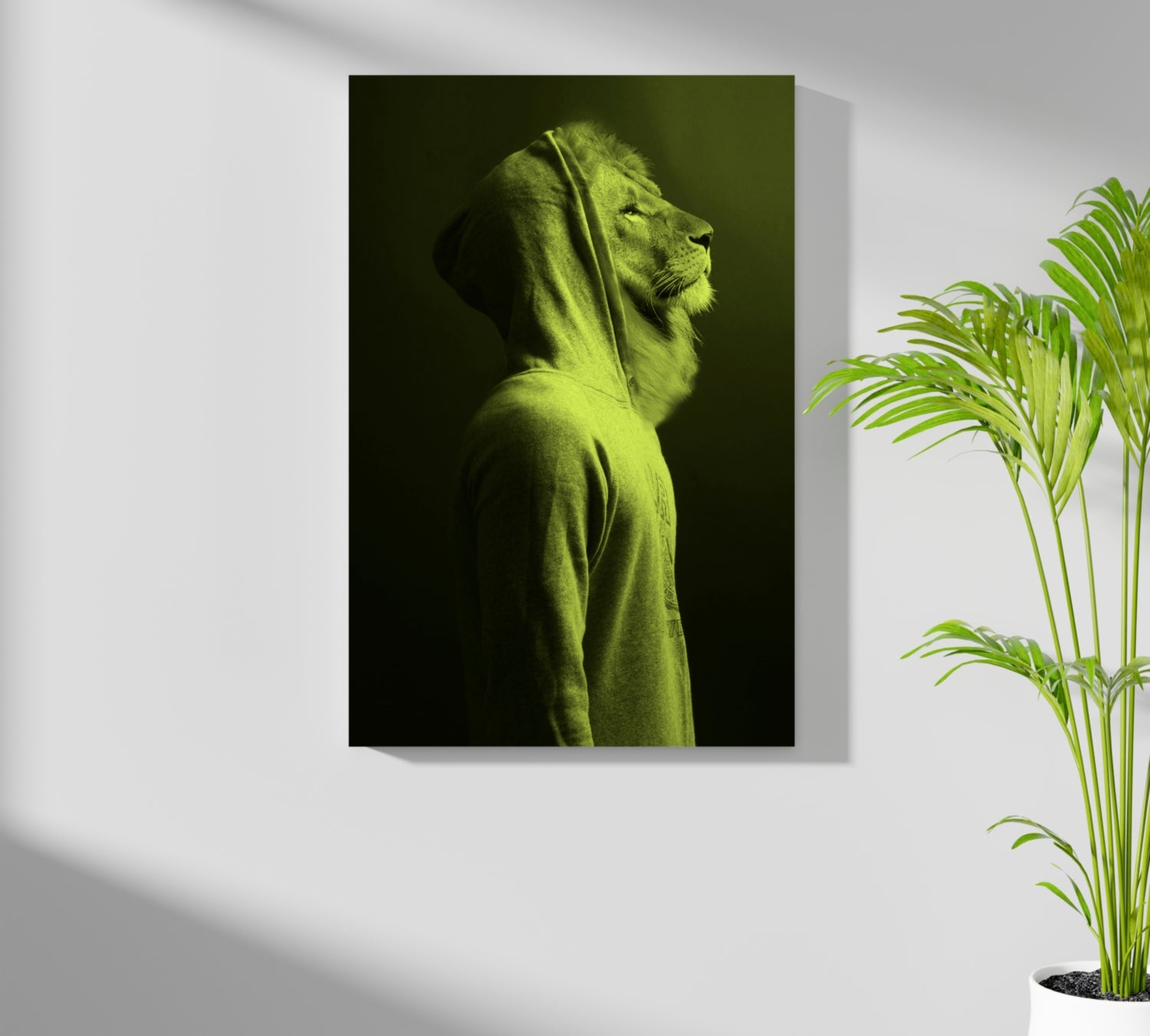 Lion Aluminum Print.