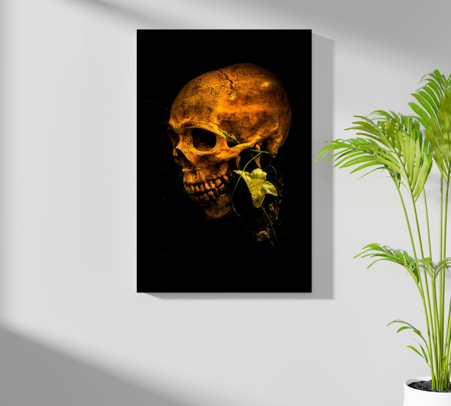 Skull Aluminum Print.