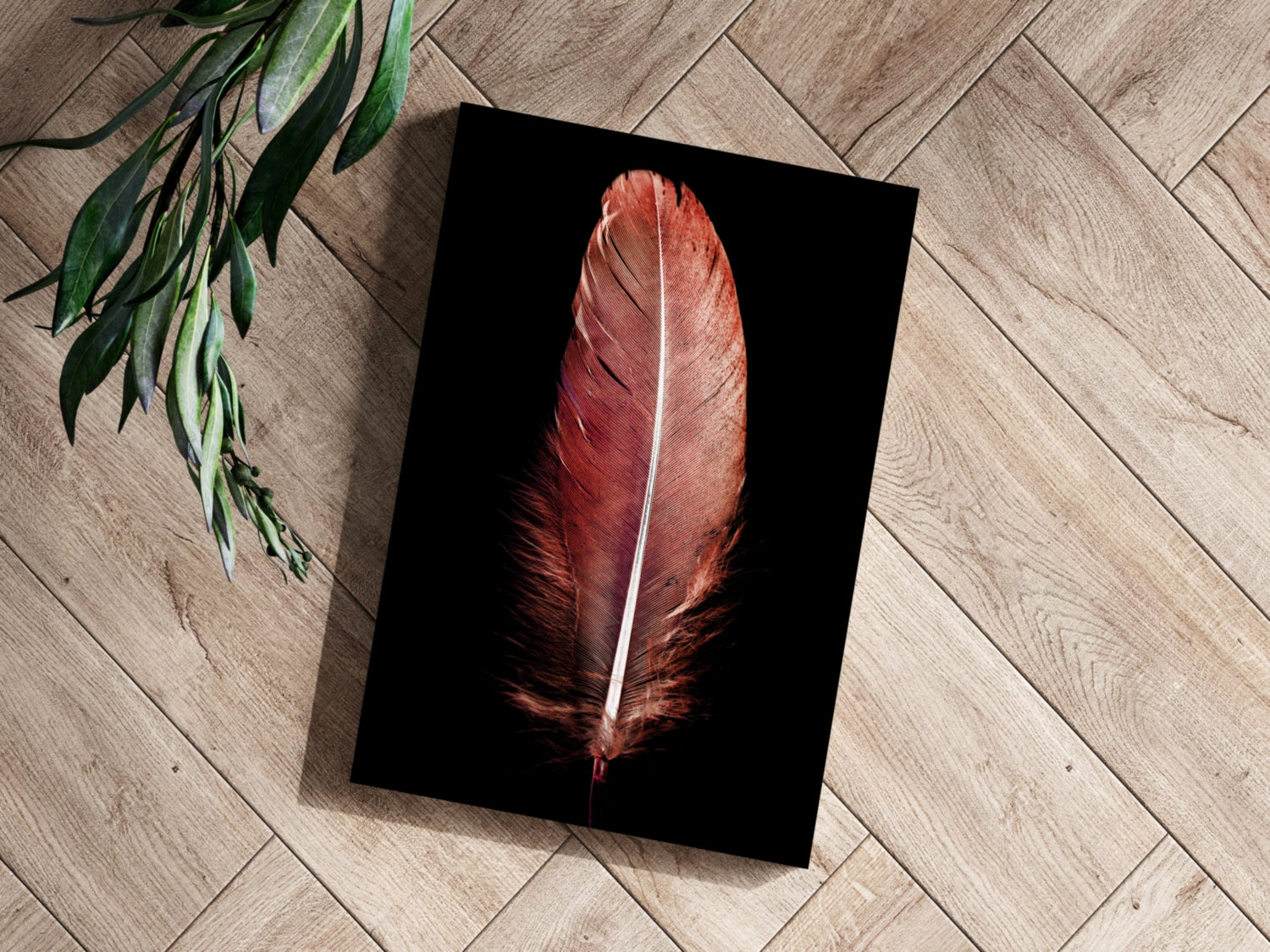 Red Feather Aluminum Print.
