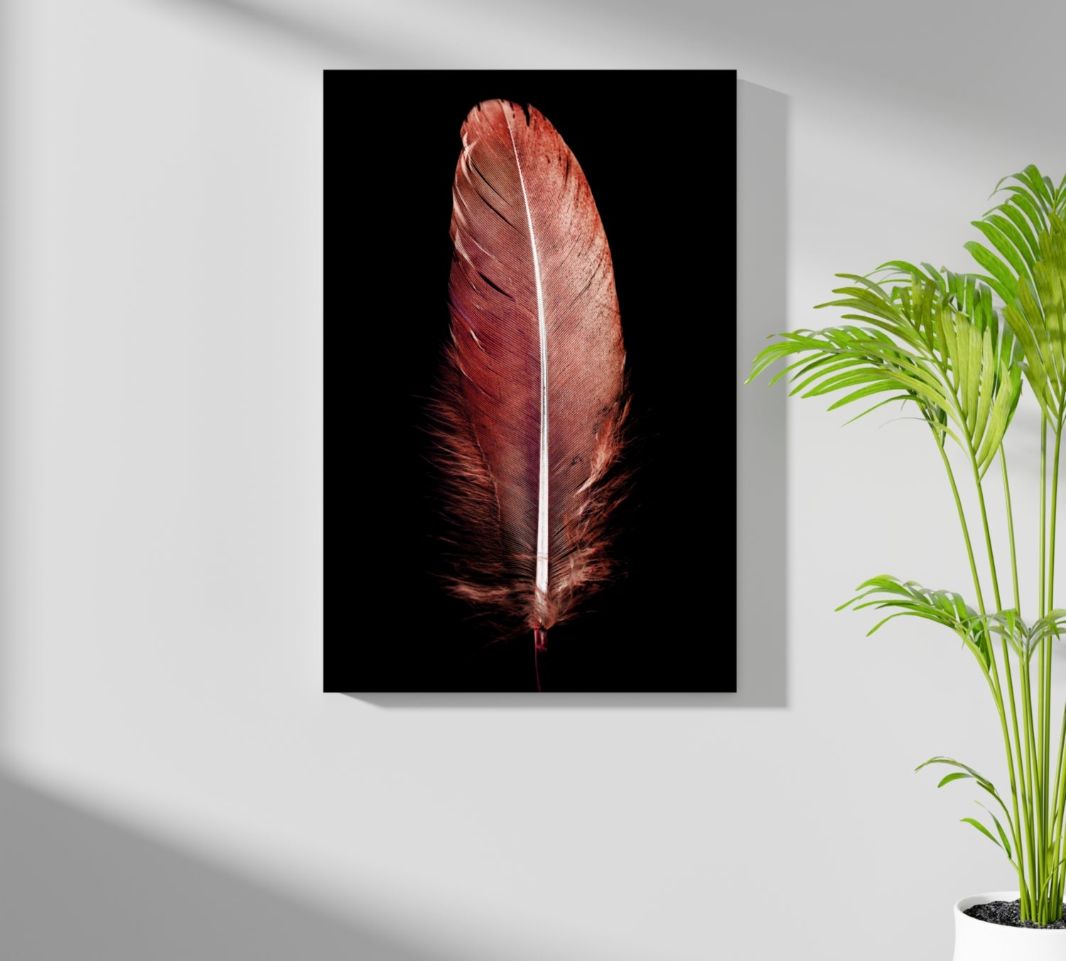 Red Feather Aluminum Print.