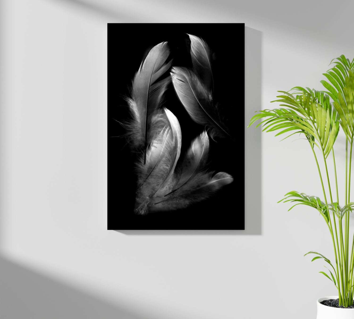 Feathers Aluminum Print.