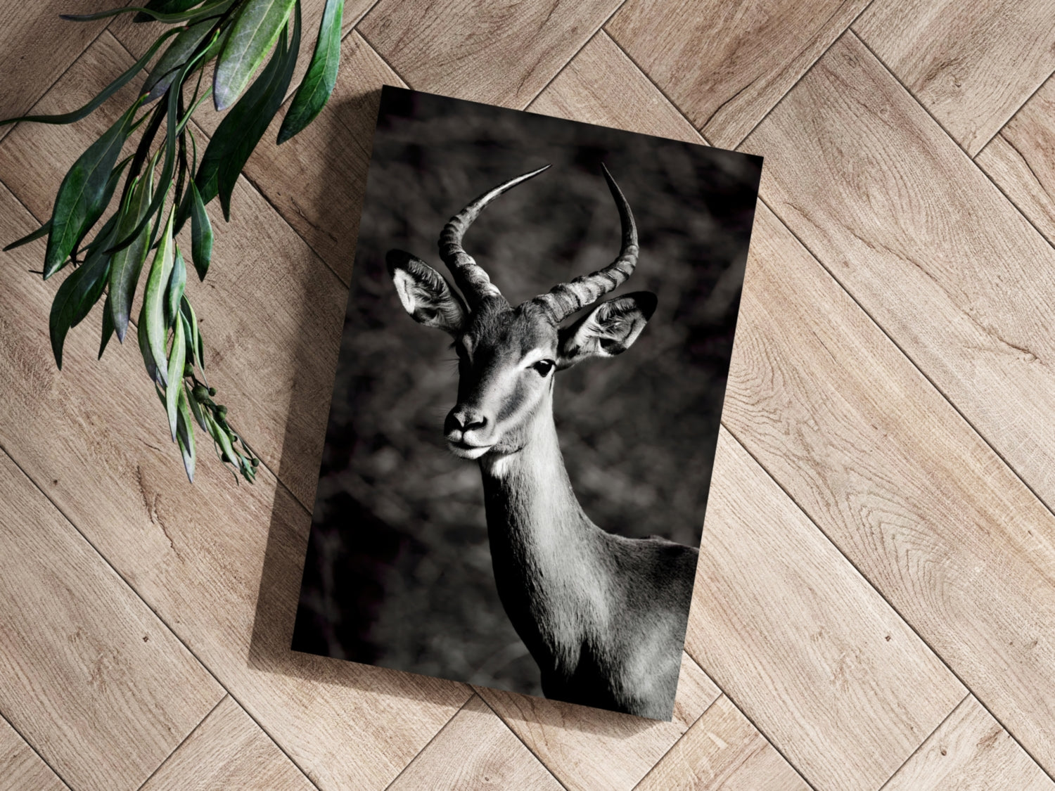 Antilope Aluminum Print.