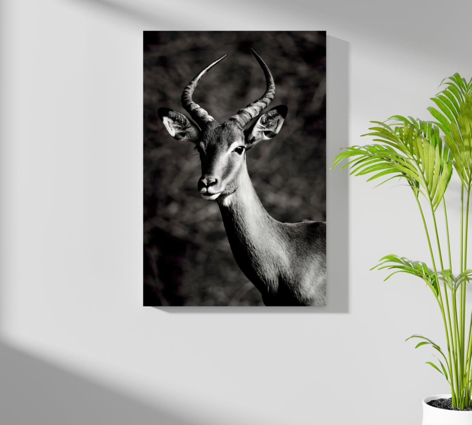 Antilope Aluminum Print.