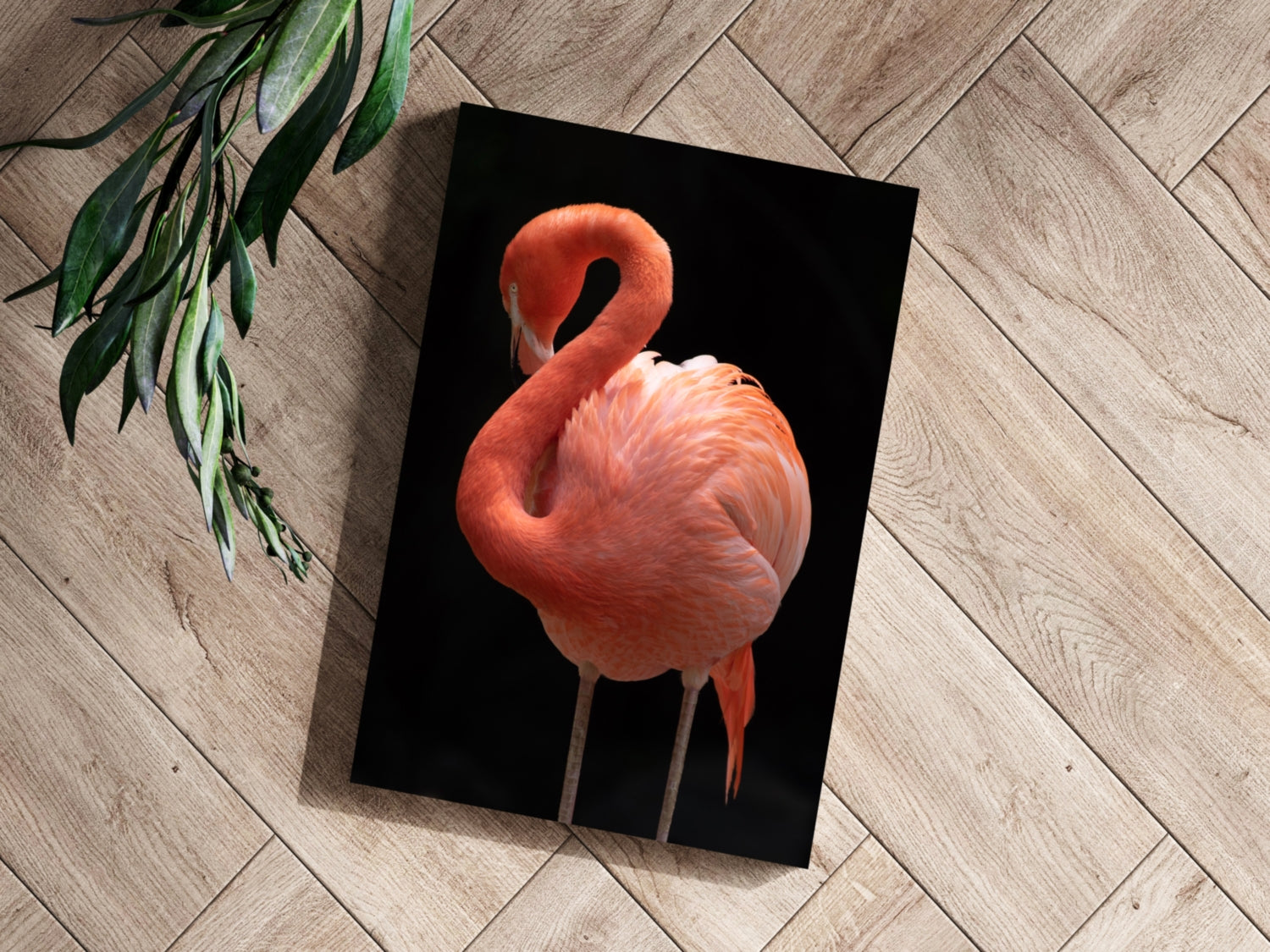 Flamingo Aluminum Print.