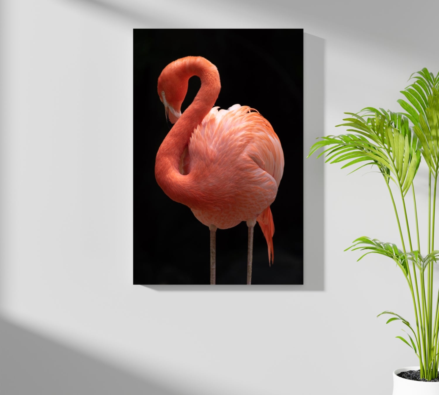 Flamingo Aluminum Print.