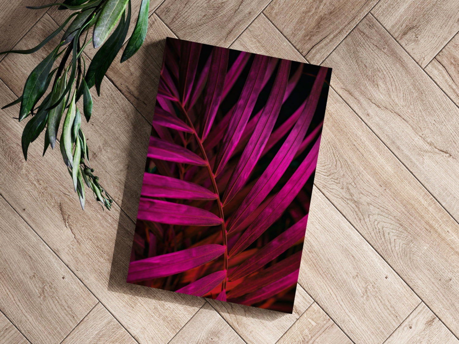 Fuschia Leaf Aluminum Print.