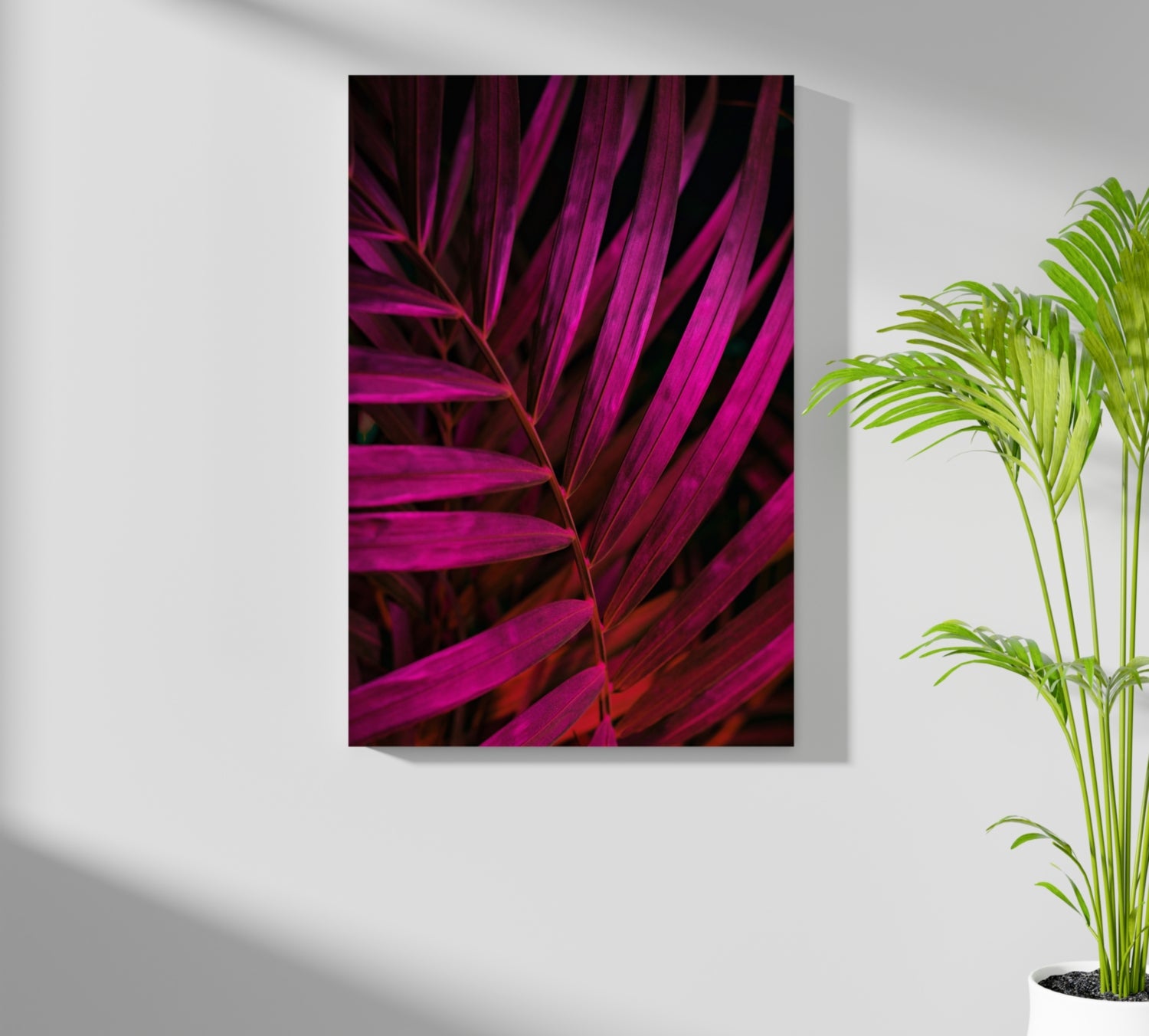 Fuschia Leaf Aluminum Print.