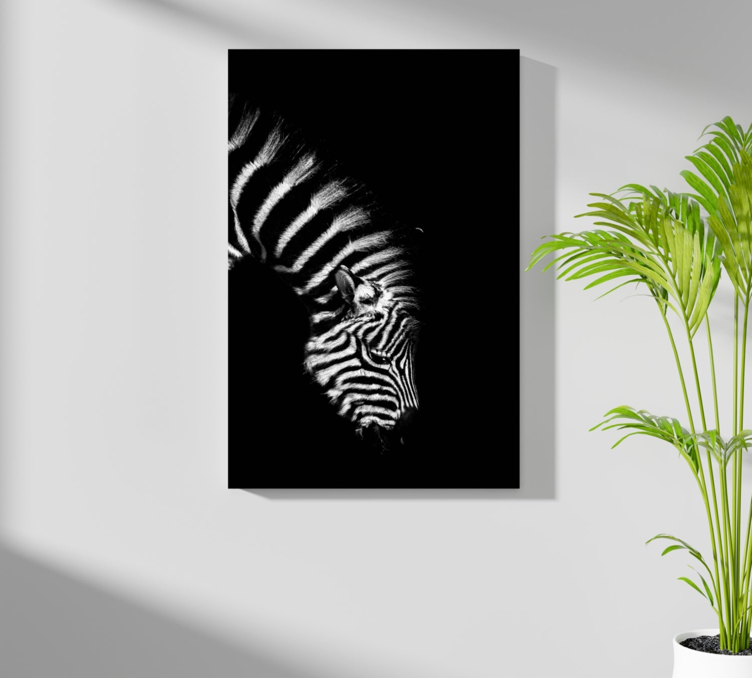 Zebra Aluminum Print.