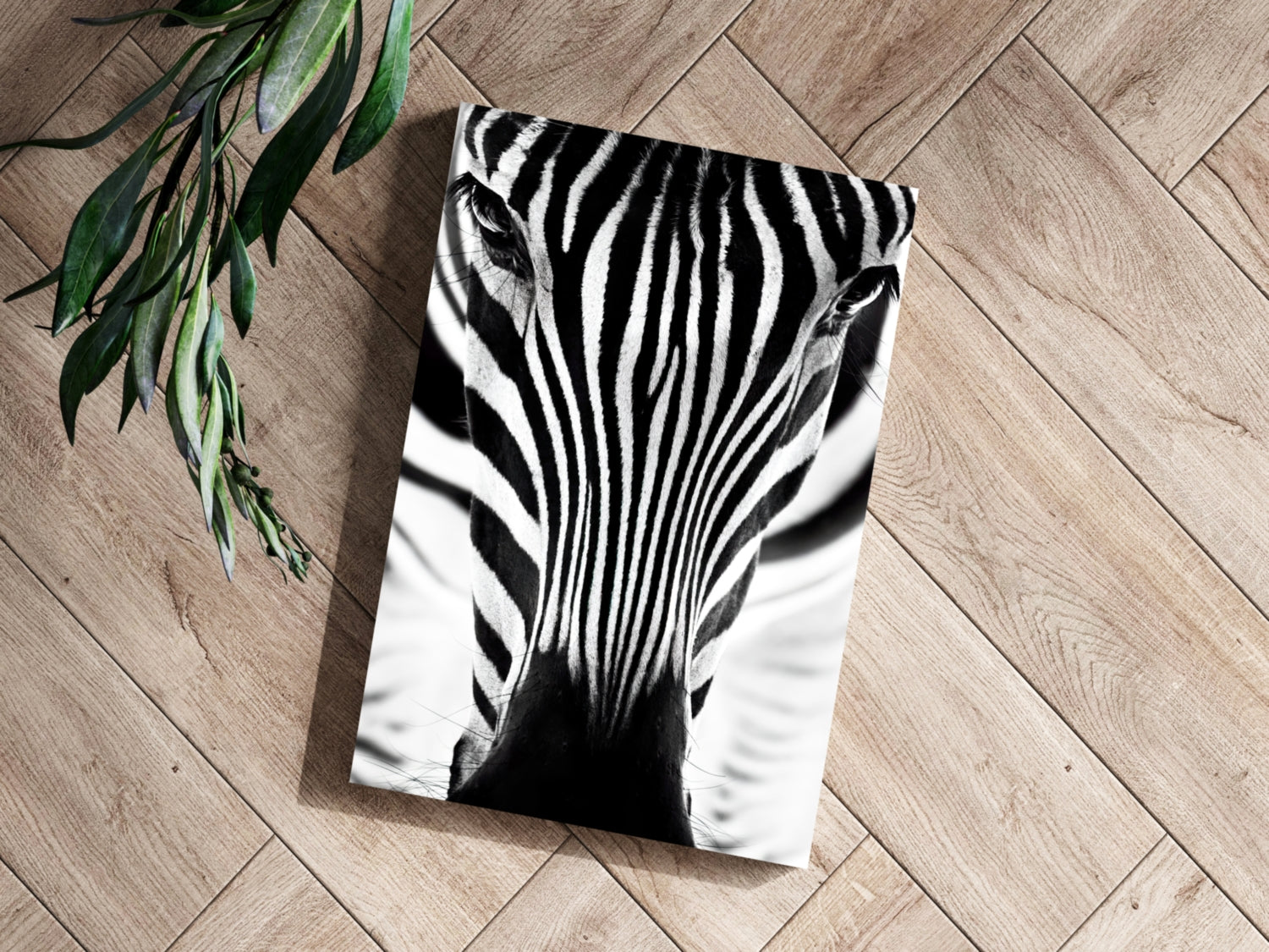 Zebra Portrait Aluminum Print.