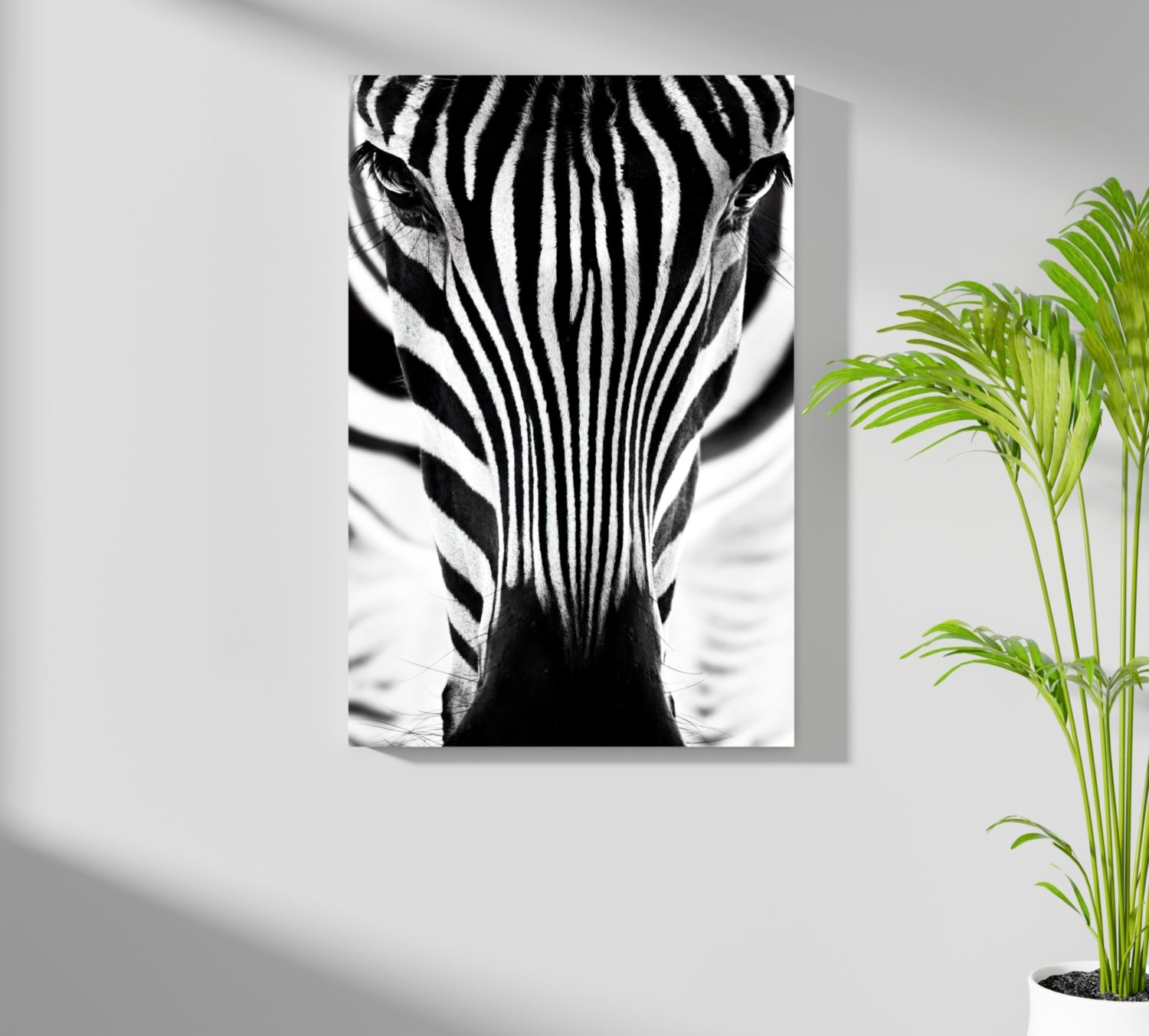 Zebra Portrait Aluminum Print.