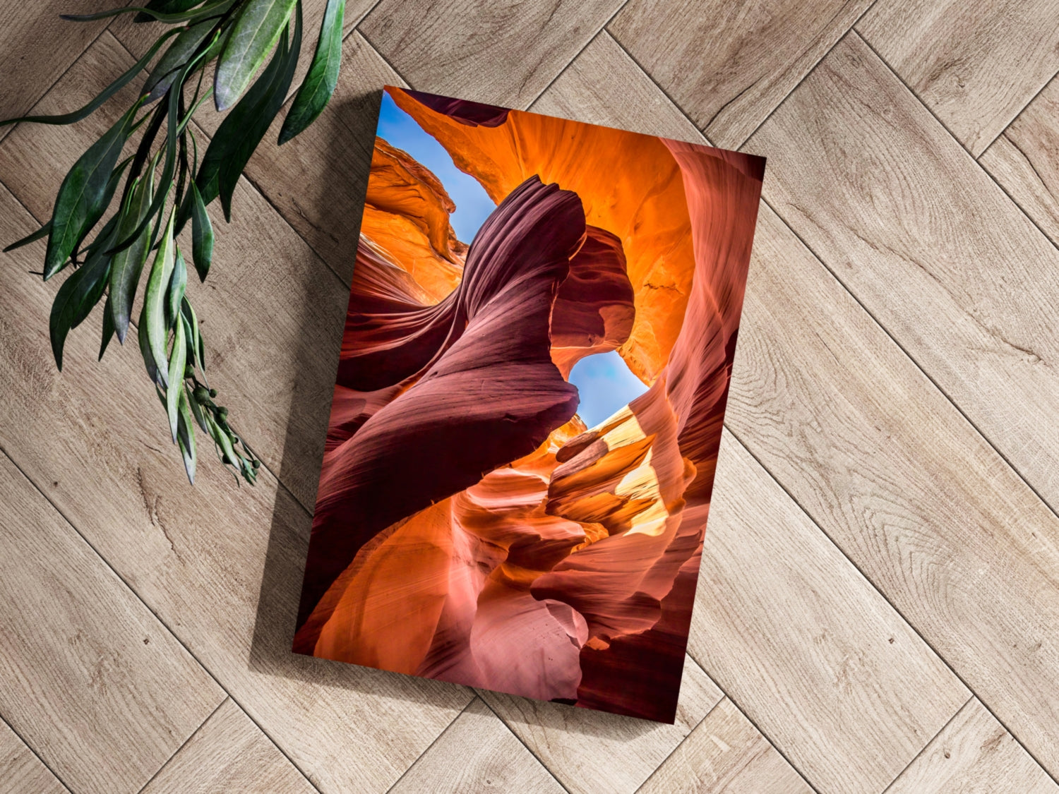 Grand Canyon Aluminum Print.