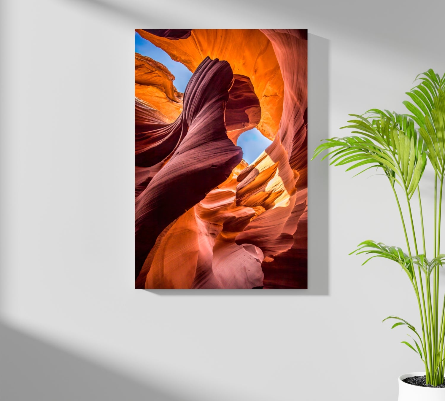 Grand Canyon Aluminum Print.