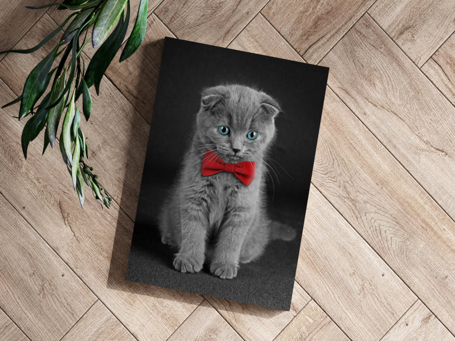 Cute Kitten Aluminum Print.