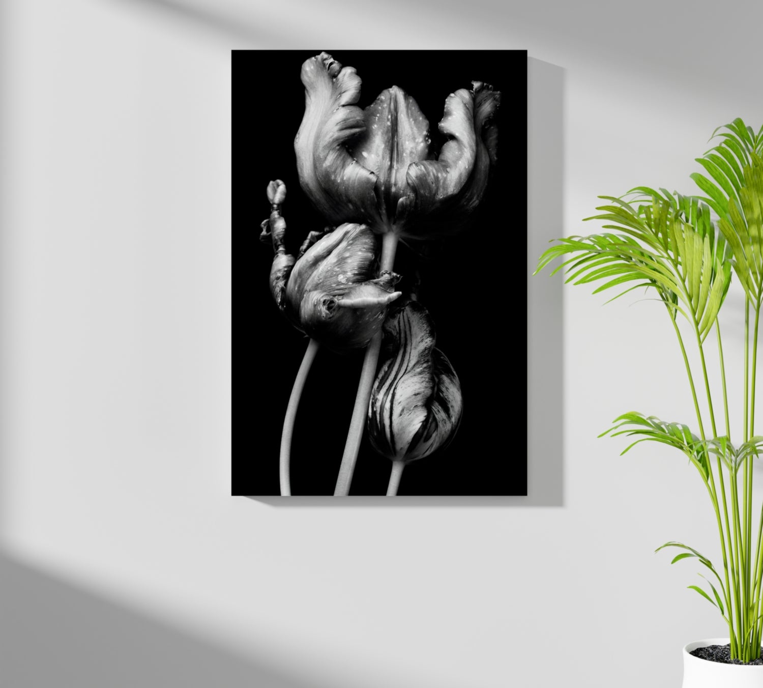 Flowers Aluminum Print.