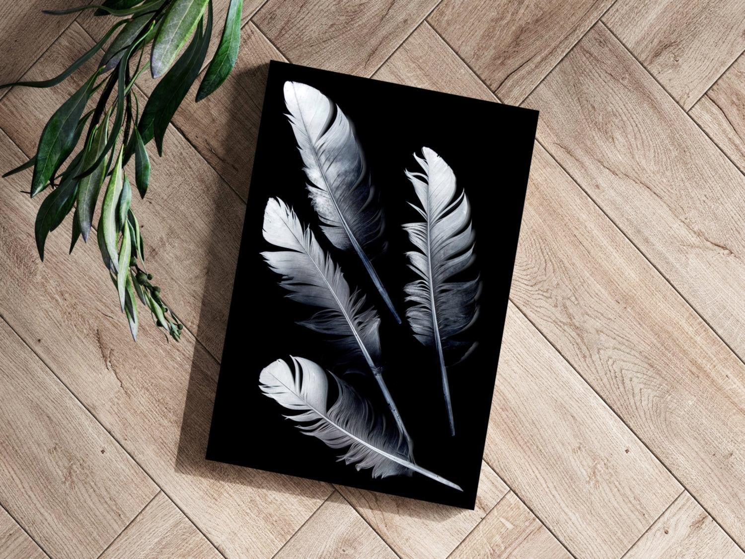 Feathers Aluminum Print.