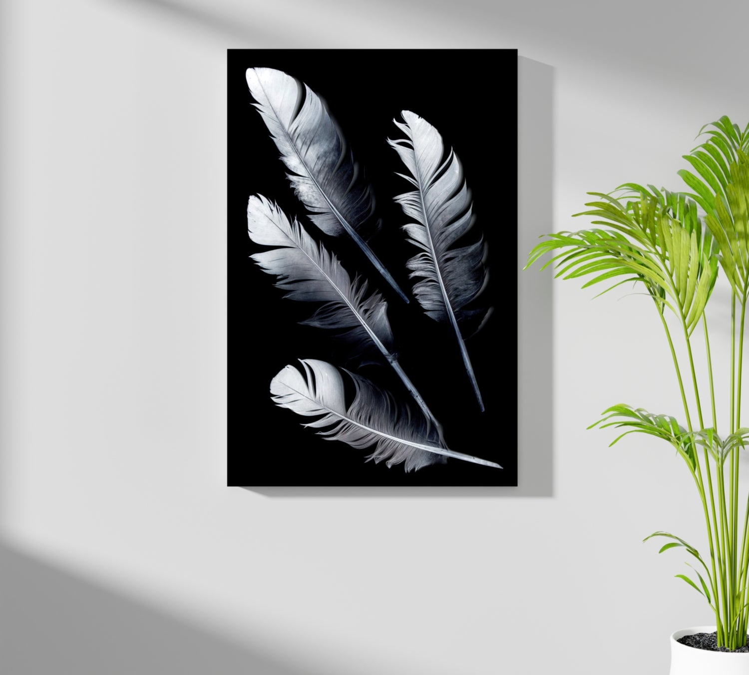 Feathers Aluminum Print.