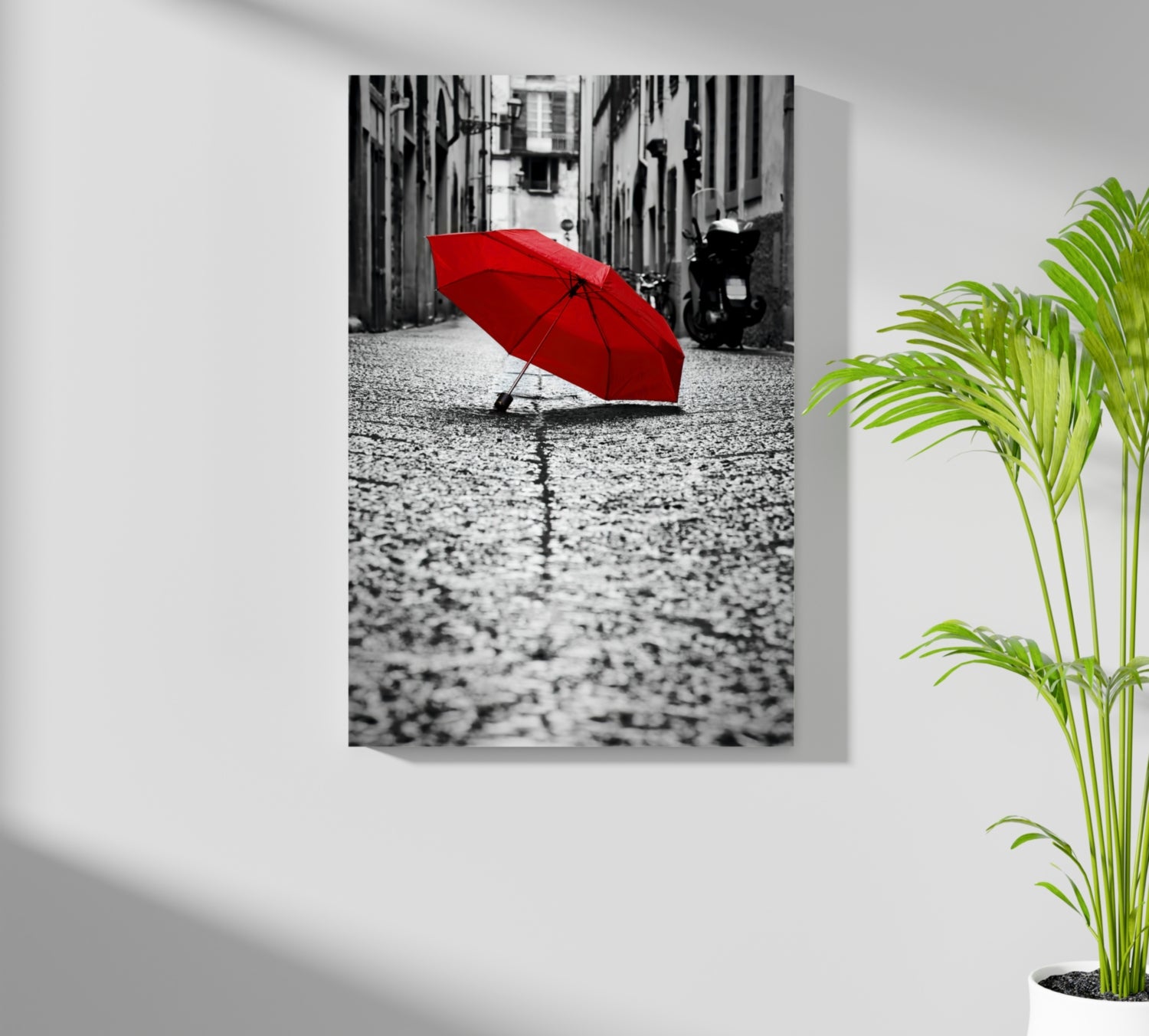 Red Umbrella Aluminum Print.