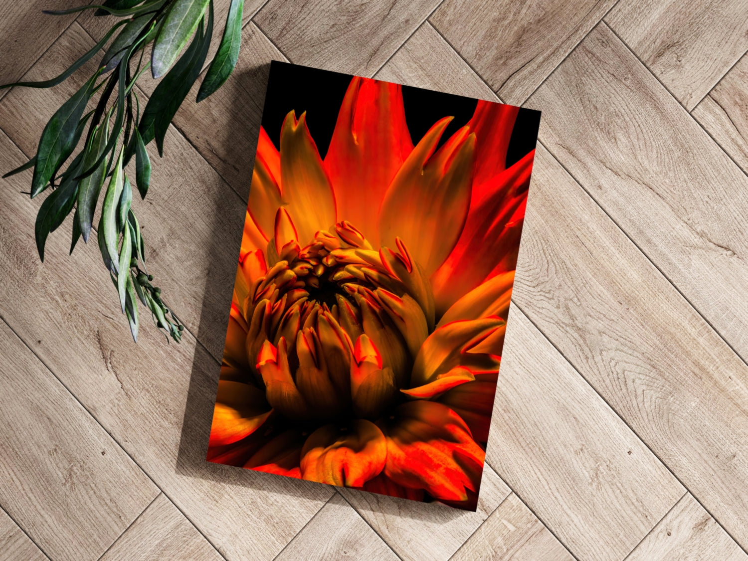 Elderflower Aluminum Print.