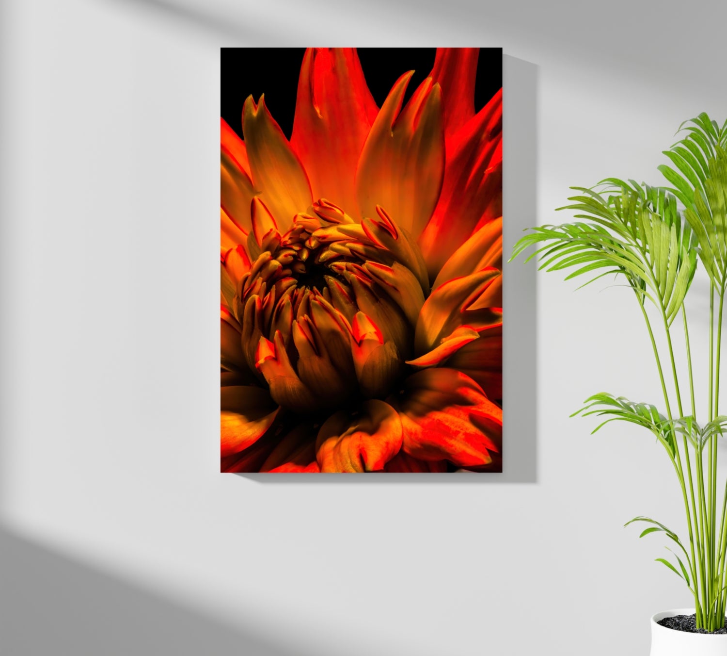 Elderflower Aluminum Print.