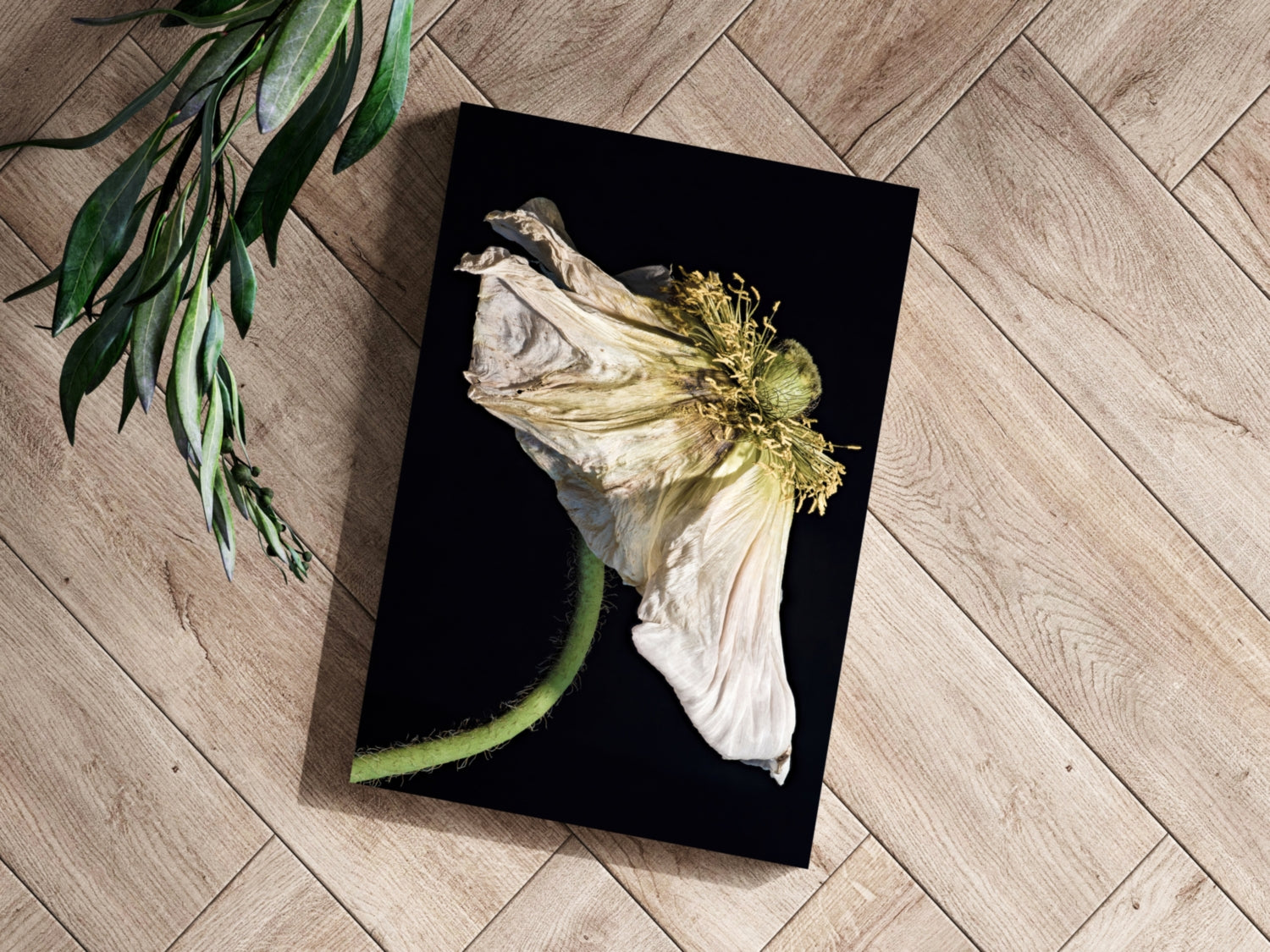 Flower Aluminum Print.