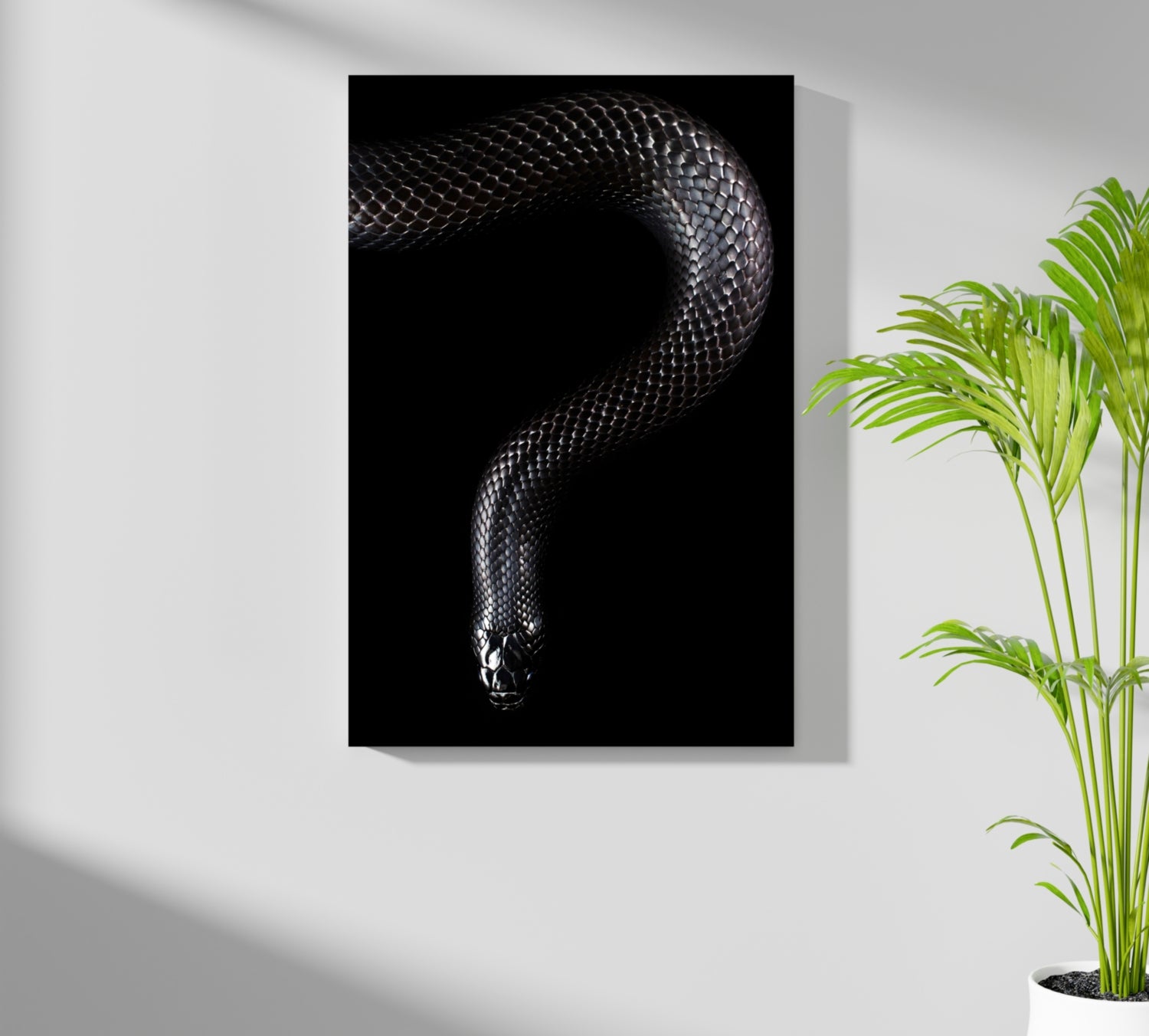 Black Snake Aluminum Print.