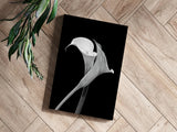Lilly Flower Aluminum Print
