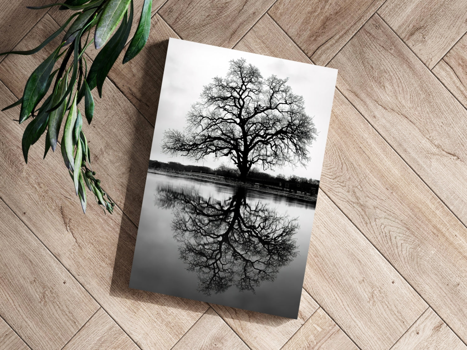 Alone Tree Aluminum Print.