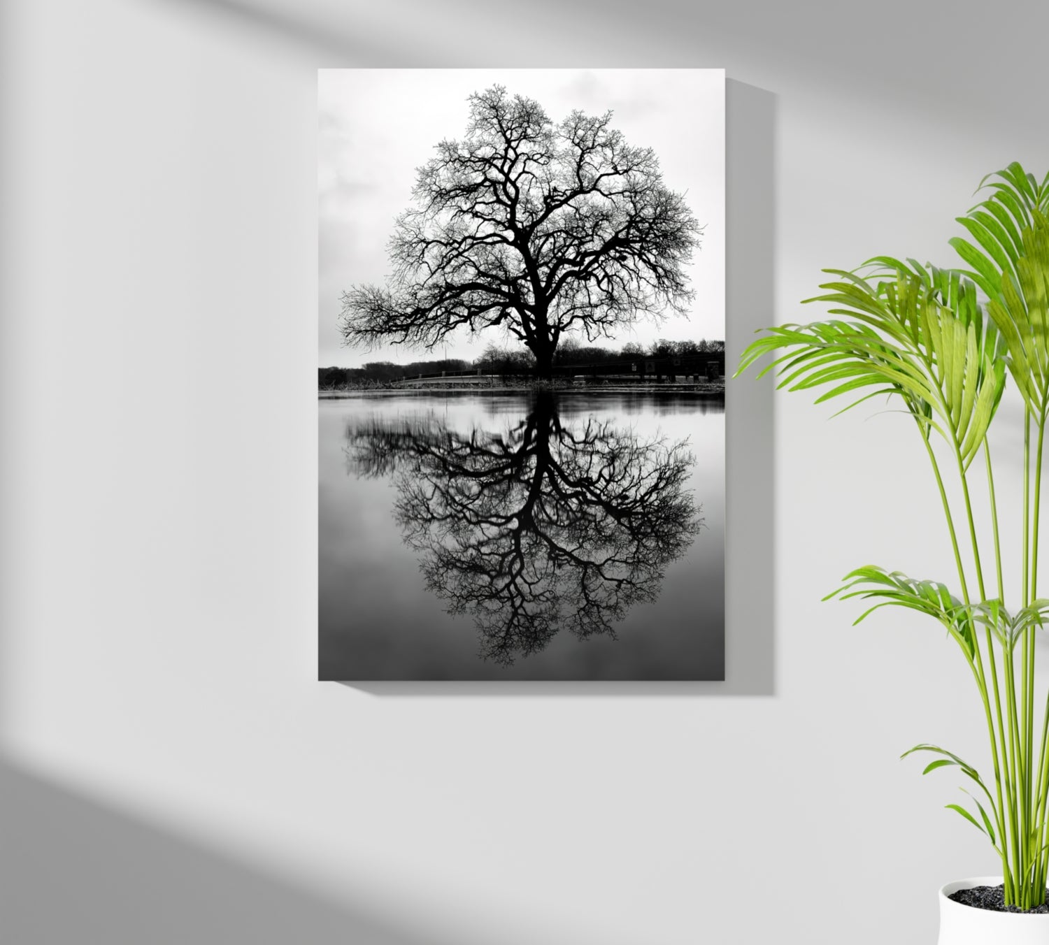 Alone Tree Aluminum Print.