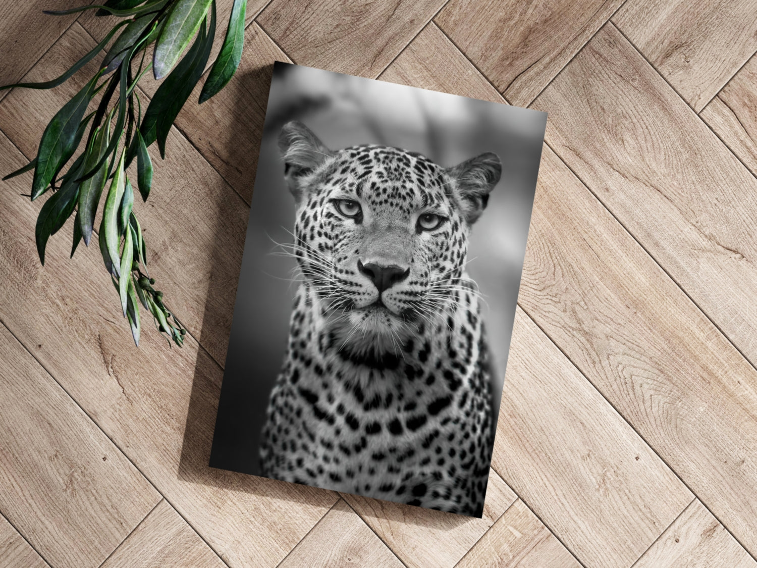 Leopard Aluminum Print.